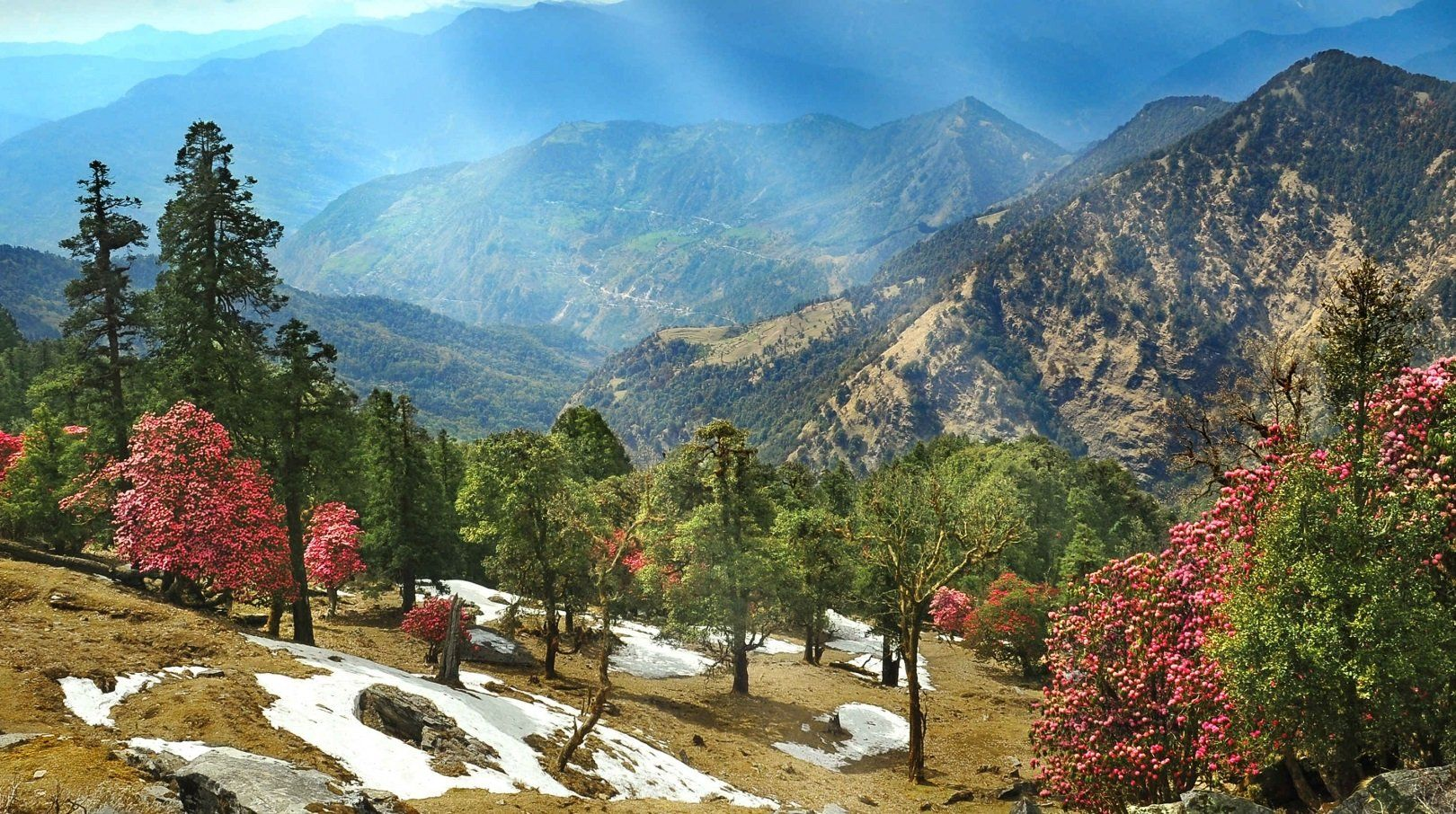 Uttarakhand